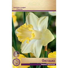 Нарцисс Фисташка