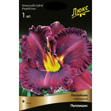Лилейник гибридный Пёплишес