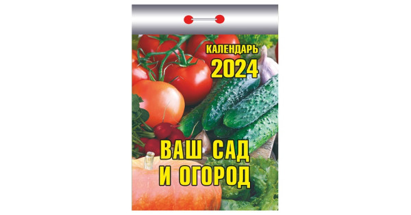 Календарь огороде на 2024 год