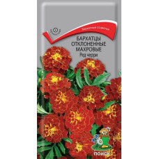 Бархатцы отклоненные махровые Ред черри