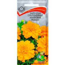 Бархатцы отклоненные махровые Мандарин