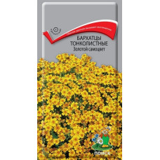 Бархатцы тонколистные Золотой самоцвет