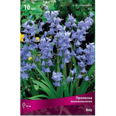 Пролеска колокольчатая Блу