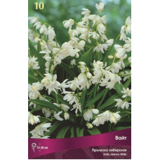 Пролеска сибирская Вайт
