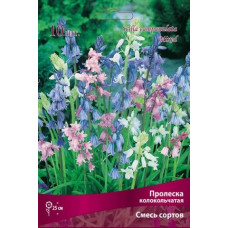 Пролеска колокольчатая смесь окрасок