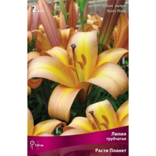 Лилия Расти Планет
