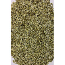 Райграс пастбищный, 1 кг