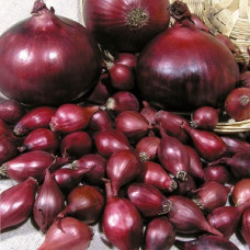 Лук-севок Ред Барон (0.5 кг)