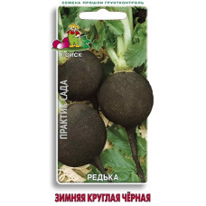 Редька Зимняя круглая чёрная