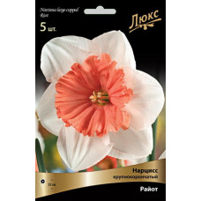 Нарцисс Райот