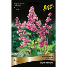 Роджерсия перистая Дарк Покерс 