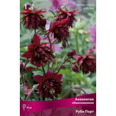 Аквилегия обыкновенная Руби порт