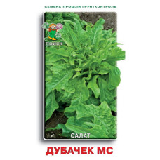 Салат Дубачек МС