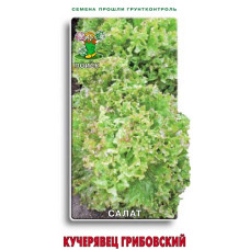 Салат Кучерявец Грибовский