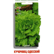 Салат Кучерявец Одесский