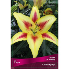 Лилия Санни Краун (ОА-гибрид)