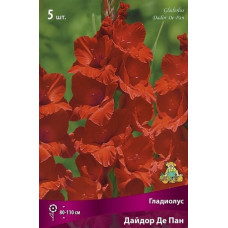 Гладиолус Дайдор Де Пан