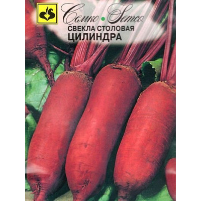Свекла Цилиндра Свекла Цилиндра