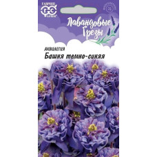 Аквилегия Башня темно-синяя