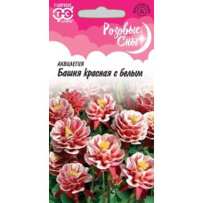 Аквилегия Башня красная с белым