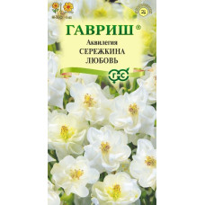 Аквилегия Сережкина любовь