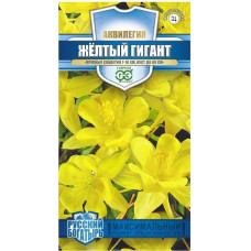 Аквилегия Желтый Гигант (ГР)