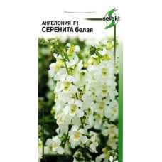 Ангелония Серенита белая