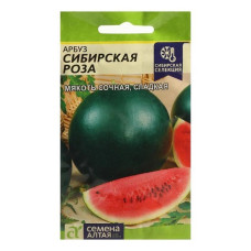 Арбуз Сибирская роза