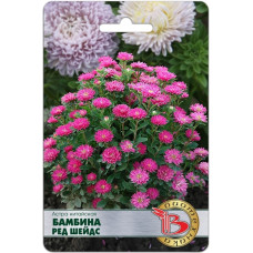 Астра китайская Бамбина Ред Шейдс  