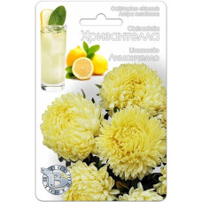Астра Хризантелла Лимончелло (Биотехника)