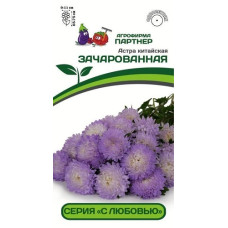 Астра китайская ЗАЧАРОВАННАЯ