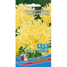 Астра коготковая Краллен Голд