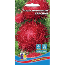 Астра коготковая Красная