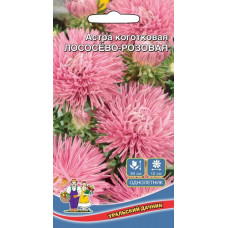 Астра коготковая Лососёво-розовая