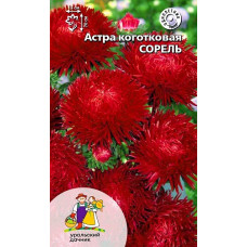 Астра коготковая Сорель
