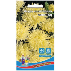 Астра коготковая Золотая 