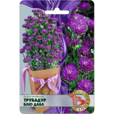 Астра китайская Трубадур Блю Дабл  