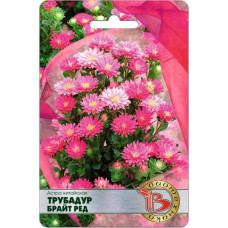 Астра китайская Трубадур Брайт Ред 