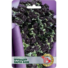 Астра китайская Трубадур Парпл Блэк  