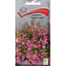 Бакопа Розовая лавина (Поиск)