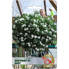 Бальзамин (импатиенс) ампельный Акробат Вайт