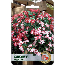 Бальзамин (импатиенс) ампельный Хайлайт Ред Стар