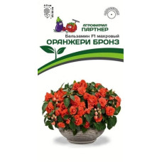Бальзамин махровый ОРАНЖЕРИ БРОНЗ