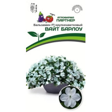 Бальзамин ВАЙТ БАРЛОУ