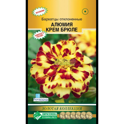 Бархатцы Алюмия Крем-Брюле (Евросемена)