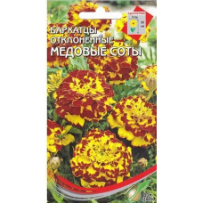 Бархатцы Медовые Соты