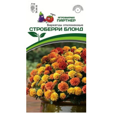 Бархатцы отклоненные СТРОБЕРРИ БЛОНД