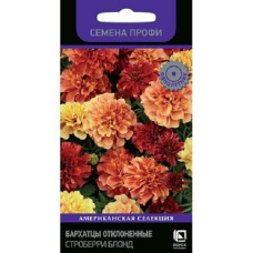 Бархатцы отклоненные (Тагетес) Строберри Блонд (Семена Профи) 10шт