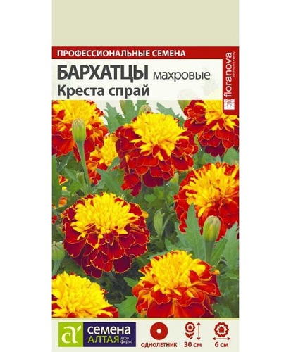 Бархатцы креста спрай