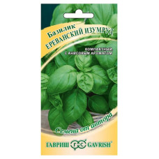 Базилик Ереванский изумруд  (Гавриш)